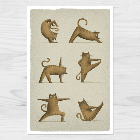 Tabby Cat Yoga Postcard