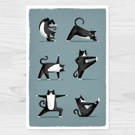 Tuxedo Cat Yoga Postcard