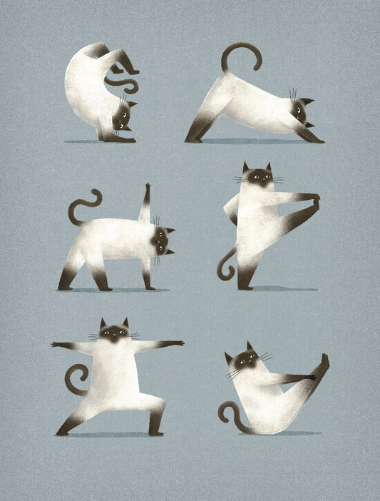 Siamese Yoga Cat Art Print